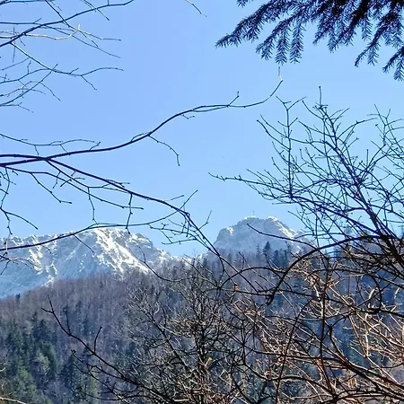 W Długoszówce Zakopane